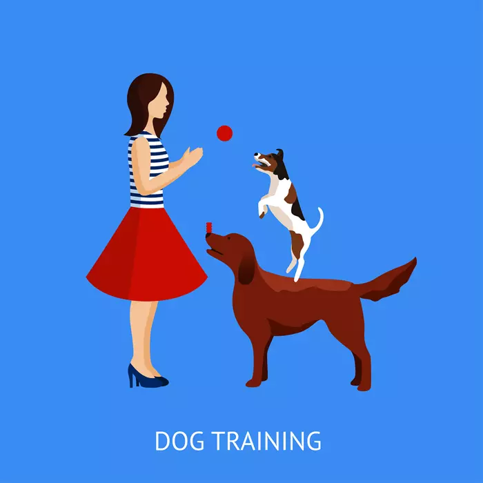 Jasa Pelatihan Anjing