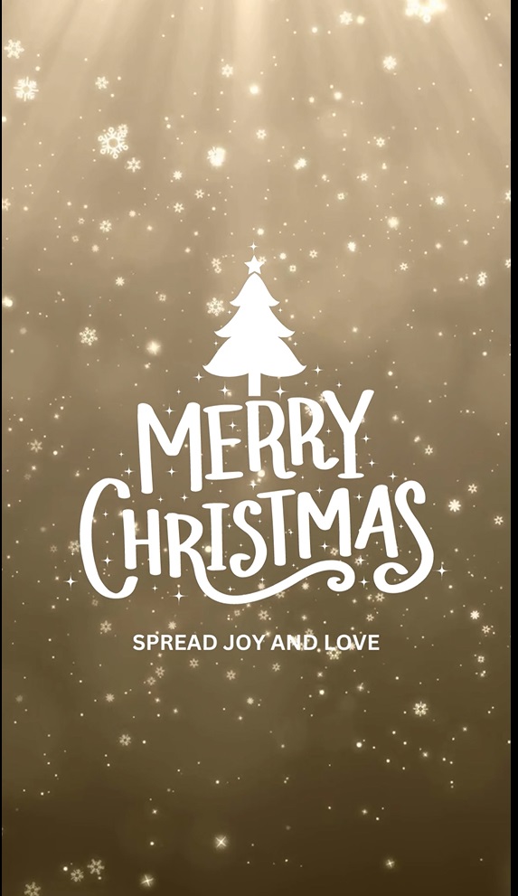 Download Template Video Tiktok Christmas Greeting  Gratis