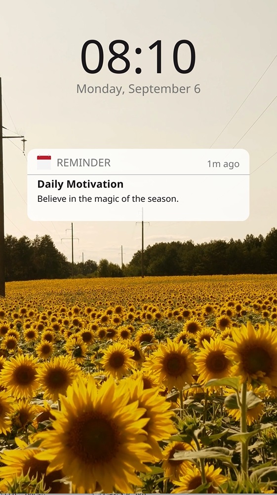 Download Template Video Reels Sunflower Background  Gratis