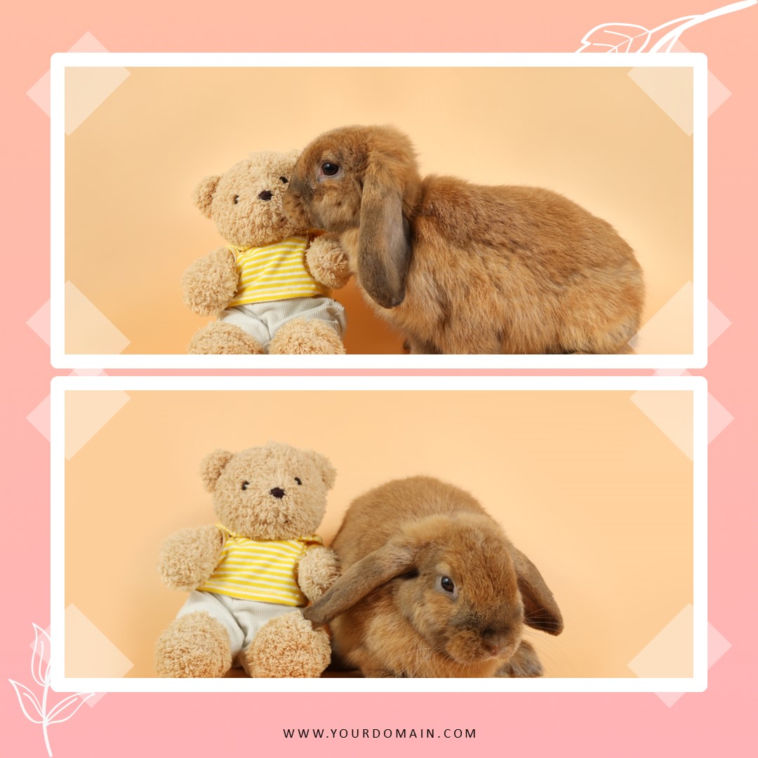 Download Template Feed Pinky Doll Part 10 Gratis Download Template Feed Pinky Doll Part 10 Gratis