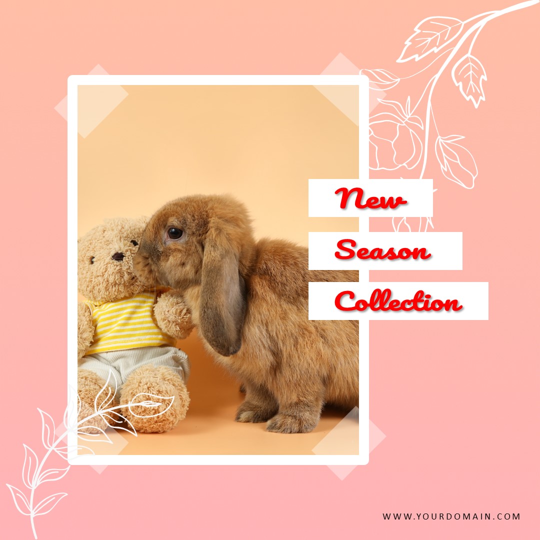 Download Template Feed Pinky Doll Part 2 Gratis Download Template Feed Pinky Doll Part 2 Gratis